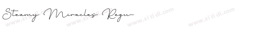 Steamy Miracles Regu字体转换
